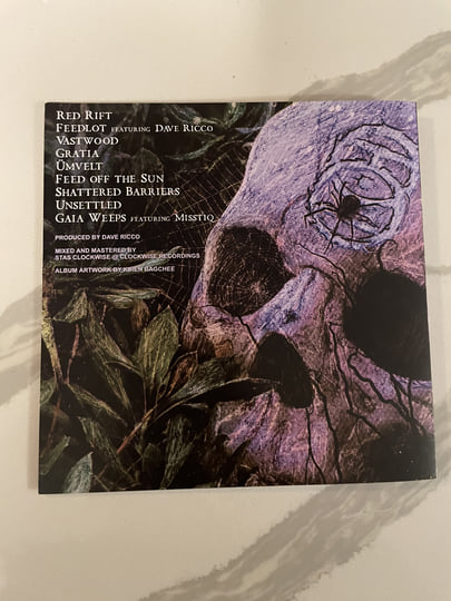 Unrecognizable | Ocean of Illusions