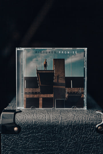 洋書 the promise of photography PROMISE | PICTURES