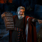 getdownmoses thumbnail