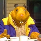 errolthehamster thumbnail