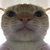 krugeler thumbnail