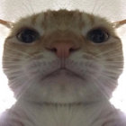krugeler thumbnail