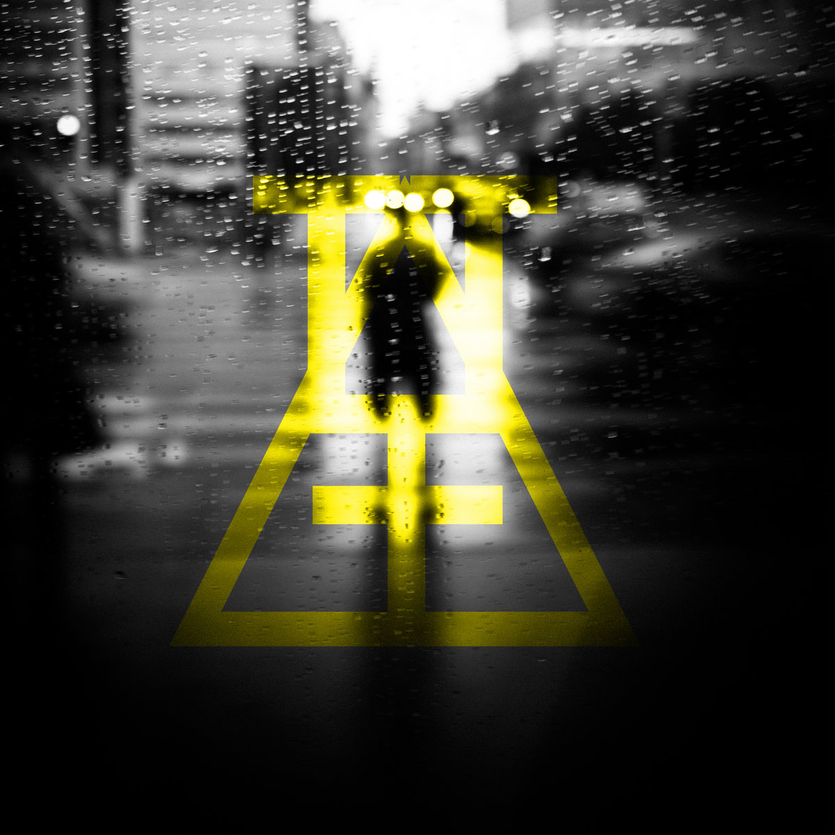Fellow traveler