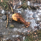 goldcastle thumbnail