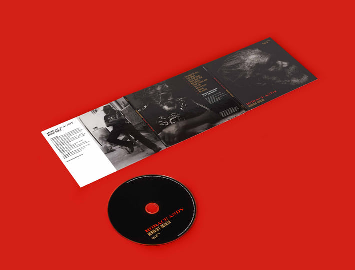 Midnight Rocker | Horace Andy