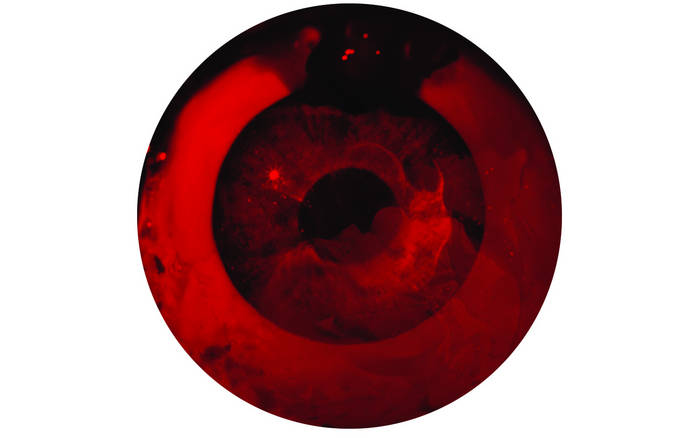 Orphic Eye DIY Demo 2016 | Orphic Eye Orphic Eye DIY Demo 2016 | Orphic Eye