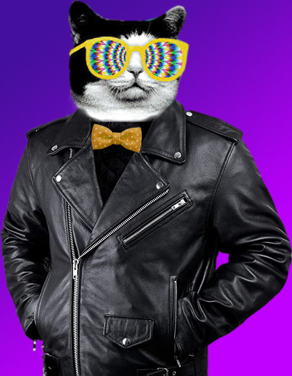 Funky Cat | CatWAVE 1986