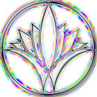 subshacollection thumbnail