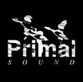 Primal Sound image