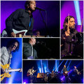 gogoPilot photo