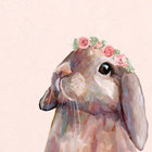 rabbitsontherun thumbnail