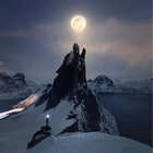 space__wolf thumbnail