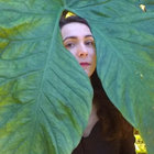 margheritapevere thumbnail