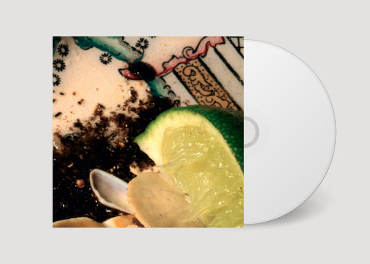Plays Bee Mask | Donato Dozzy | Spectrum Spools