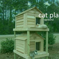 cat playground (2021-2022 v2 archive) image
