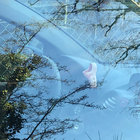 fabienne thumbnail