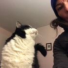 bethsav thumbnail