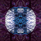 Mora thumbnail