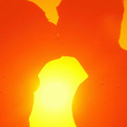 softwaver thumbnail