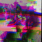 Shaughn Martel thumbnail