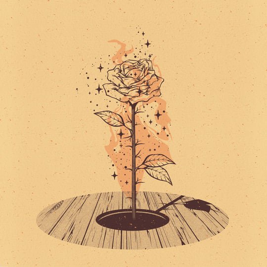 The Seed | Thomas Mitrousis
