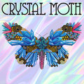 Crystal Moth image