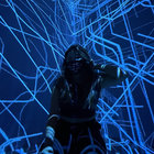 idvs thumbnail