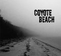 Coyote Beach image