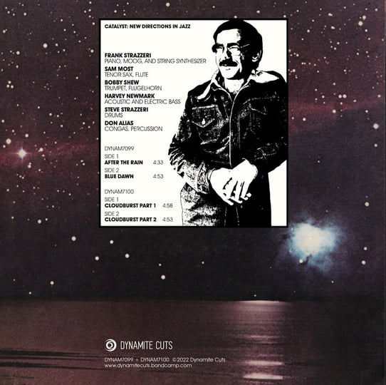 BLUE VINYL EDITION - Frank Strazzeri - After the rain 45s