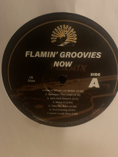 Flamin' Groovies Now | Flamin' Groovies