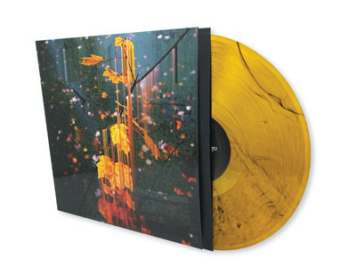 Color of Time - Signed Limited Edition LP (Harvest Swirl) + Digital Download Code main photo