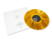 Color of Time - Signed Limited Edition LP (Harvest Swirl) + Digital Download Code photo 