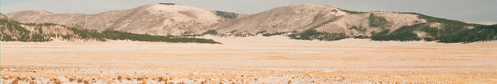 Rob Shelton — Photo