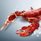 Lobster thumbnail
