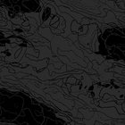 LYF001 Heavy Pop // Concrete Gold | Wu Lyf | WU LYF