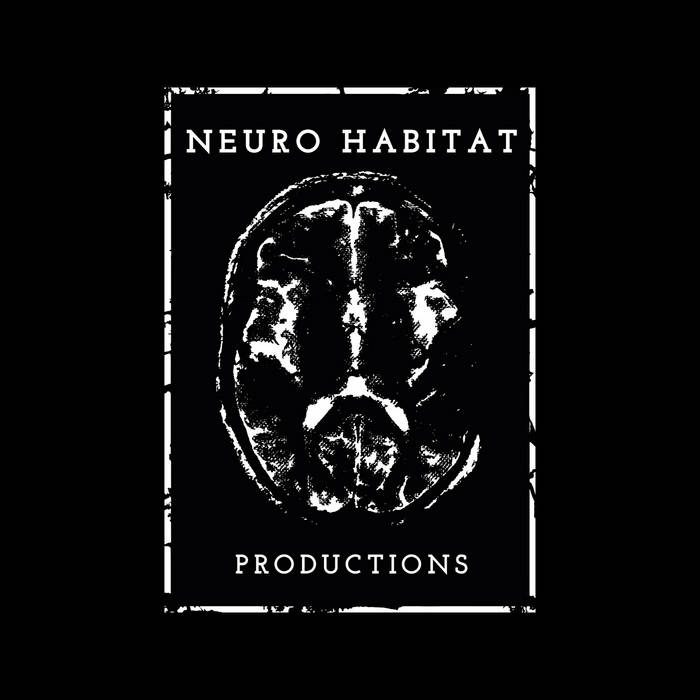 Harsh realities | Death Toll 80K | Neuro Habitat Productions