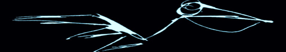Pelican Movement — Photo