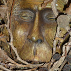 walgins thumbnail