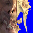 melanholland thumbnail
