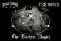 The Witch  image