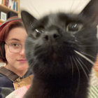 nina thumbnail