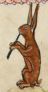 Rabbit in the Margin image