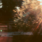 nonooi thumbnail