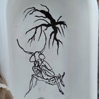 fern thumbnail