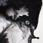 hatakeyama thumbnail