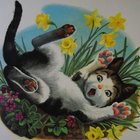 Vérène thumbnail