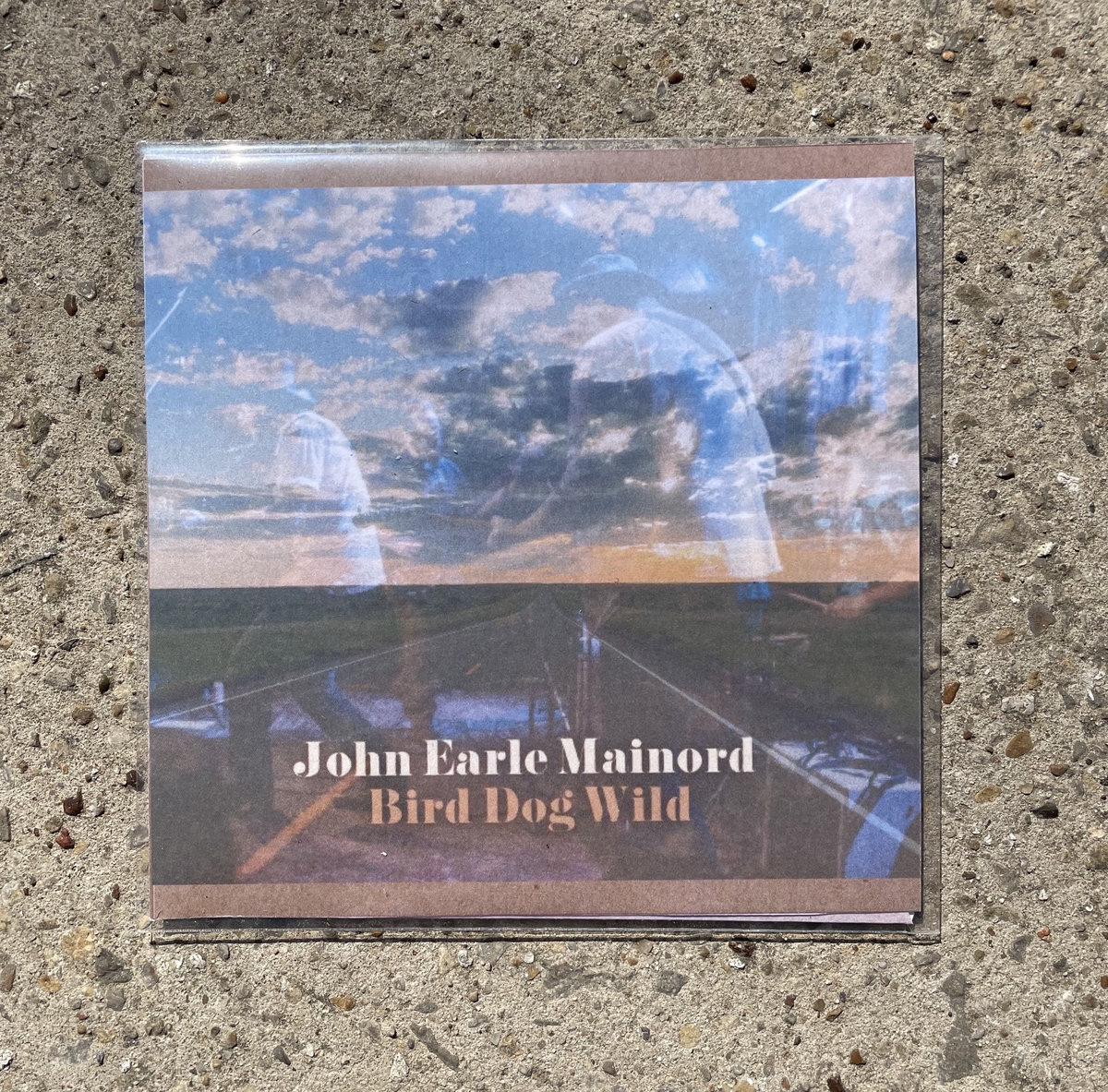 Bird Dog Wild John Earle Mainord