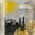 Modesto Newhouse image