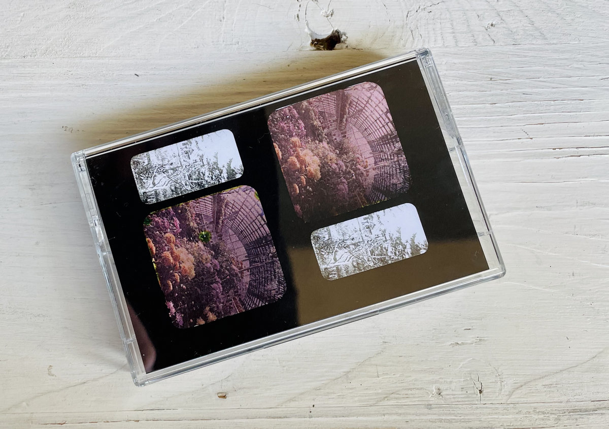 Iron Forest Anomaly LP HALLOW4 EMertz Tar Hallow