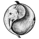 whnz thumbnail